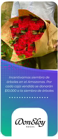Marcas participantes-29-2